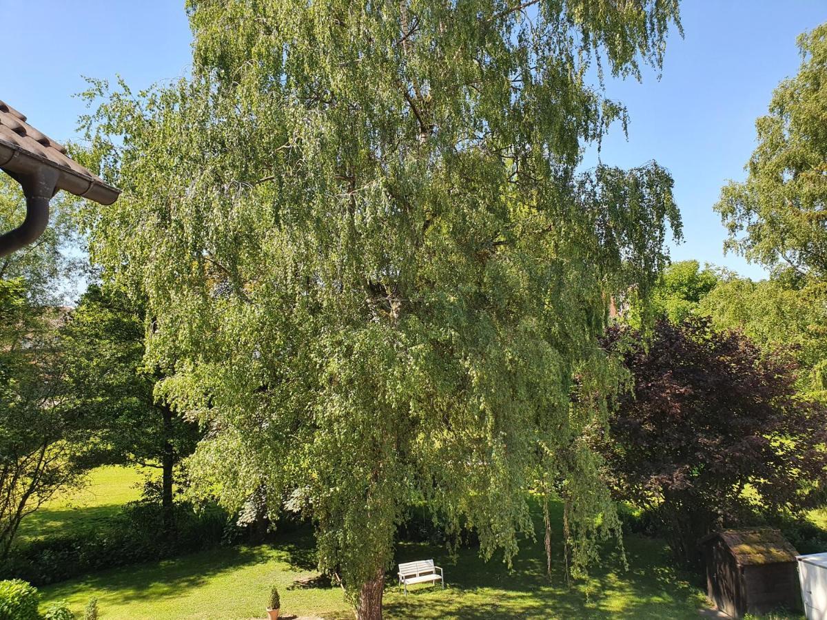Schoenenberger Hof Orsingen-Nenzingen 외부 사진